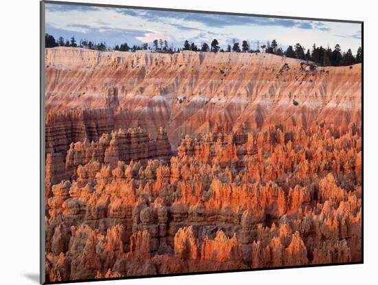 USA, Utah, Bryce Canyon National Park. Sunrise Touches Hoodoos at Sunset Point-Ann Collins-Mounted Photographic Print