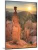 USA, Utah, Bryce Canyon National Park, Thor's Hammer-Michele Falzone-Mounted Photographic Print