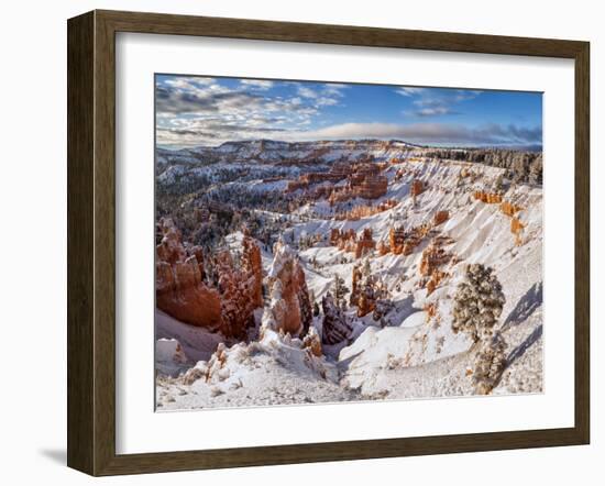 USA, Utah, Bryce Canyon National Park, Winter Morning in the Bryce Canyon Amphitheater-Ann Collins-Framed Photographic Print