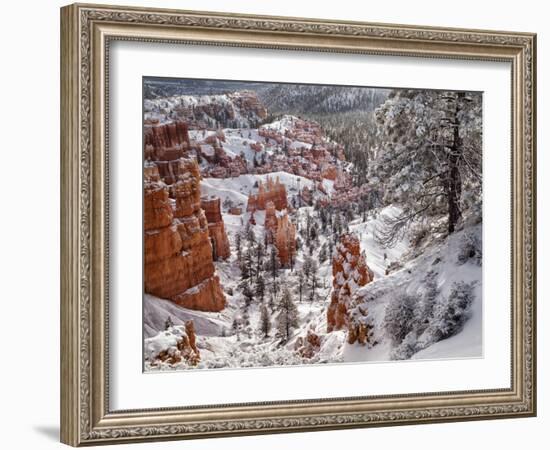 USA, Utah, Bryce Canyon National Park, Winter morning near Sunrise Point after fresh snowfall-Ann Collins-Framed Photographic Print