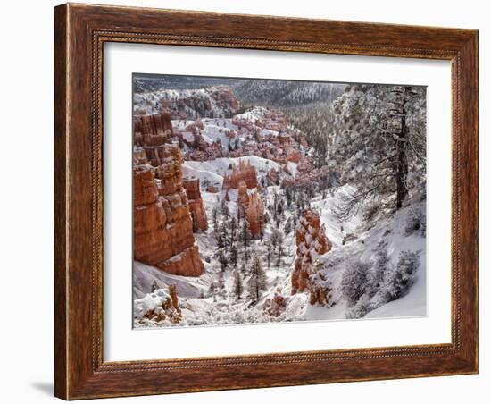 USA, Utah, Bryce Canyon National Park, Winter morning near Sunrise Point after fresh snowfall-Ann Collins-Framed Photographic Print