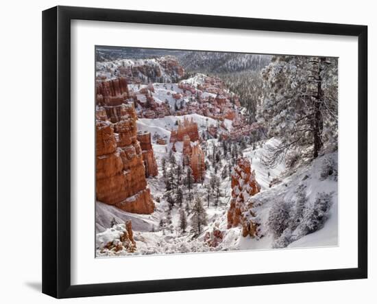 USA, Utah, Bryce Canyon National Park, Winter morning near Sunrise Point after fresh snowfall-Ann Collins-Framed Photographic Print