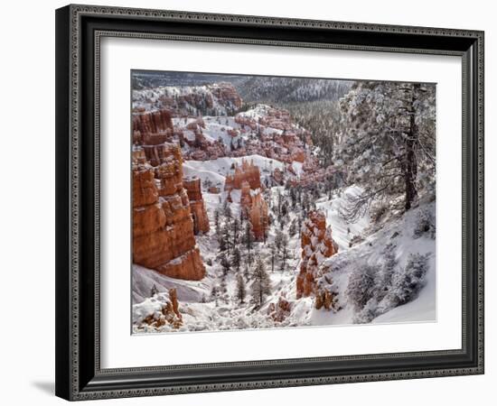 USA, Utah, Bryce Canyon National Park, Winter morning near Sunrise Point after fresh snowfall-Ann Collins-Framed Photographic Print