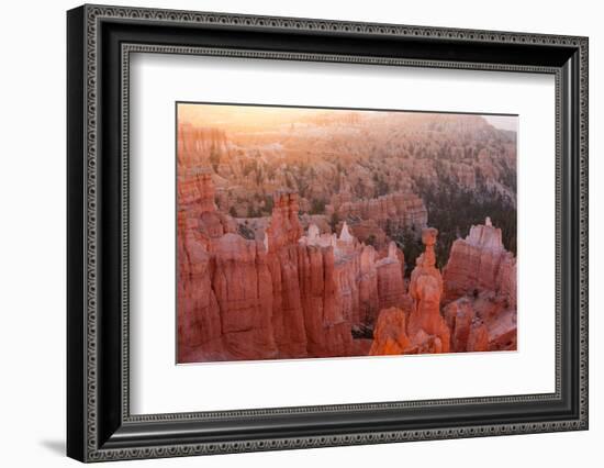 USA, Utah, Bryce Canyon, Thor's Hammer, Sunrise-Catharina Lux-Framed Photographic Print