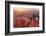 USA, Utah, Bryce Canyon, Thor's Hammer, Sunrise-Catharina Lux-Framed Photographic Print