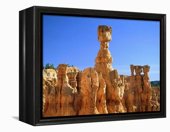 USA, Utah, Bryce Canyon-Rainer Hackenberg-Framed Premier Image Canvas