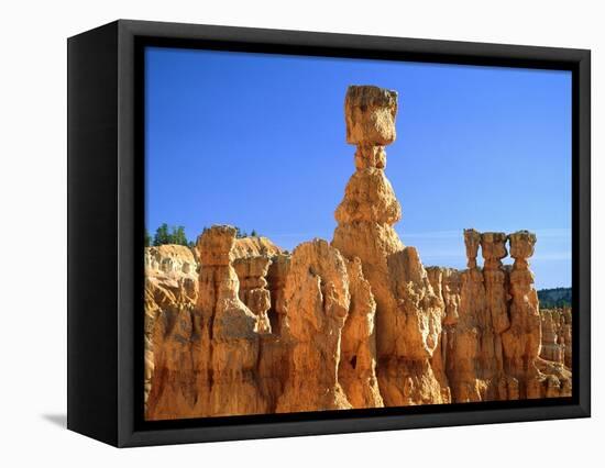 USA, Utah, Bryce Canyon-Rainer Hackenberg-Framed Premier Image Canvas