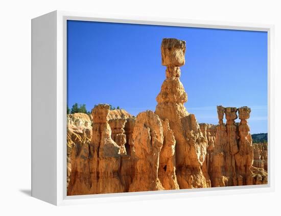 USA, Utah, Bryce Canyon-Rainer Hackenberg-Framed Premier Image Canvas