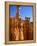 USA, Utah, Bryce Canyon-Rainer Hackenberg-Framed Premier Image Canvas