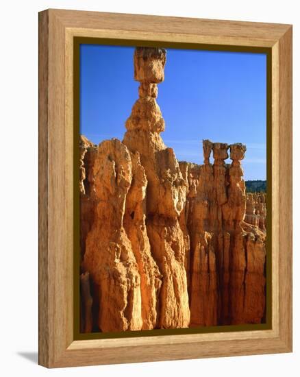 USA, Utah, Bryce Canyon-Rainer Hackenberg-Framed Premier Image Canvas