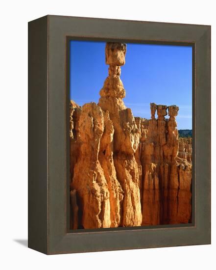 USA, Utah, Bryce Canyon-Rainer Hackenberg-Framed Premier Image Canvas