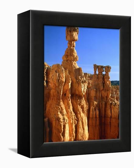 USA, Utah, Bryce Canyon-Rainer Hackenberg-Framed Premier Image Canvas