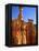USA, Utah, Bryce Canyon-Rainer Hackenberg-Framed Premier Image Canvas