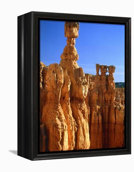 USA, Utah, Bryce Canyon-Rainer Hackenberg-Framed Premier Image Canvas