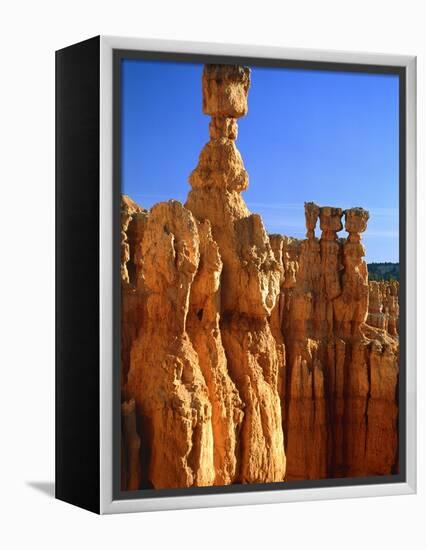 USA, Utah, Bryce Canyon-Rainer Hackenberg-Framed Premier Image Canvas