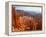 USA, Utah, Bryce Canyon-Rainer Hackenberg-Framed Premier Image Canvas