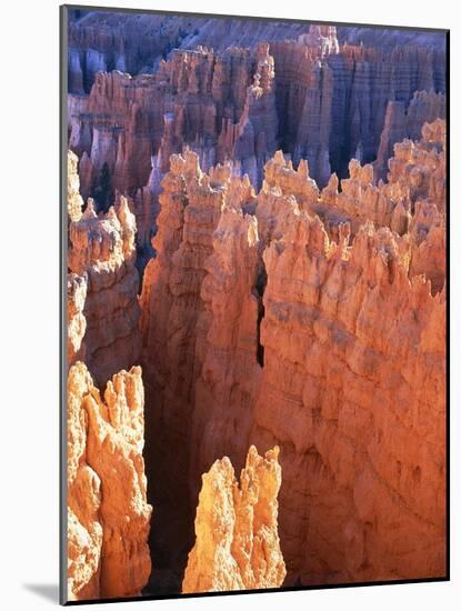 USA, Utah, Bryce Canyon-Hans Peter Merten-Mounted Photographic Print