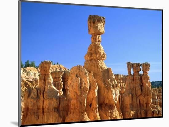 USA, Utah, Bryce Canyon-Rainer Hackenberg-Mounted Photographic Print