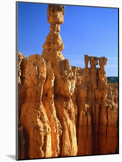USA, Utah, Bryce Canyon-Rainer Hackenberg-Mounted Photographic Print