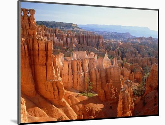 USA, Utah, Bryce Canyon-Rainer Hackenberg-Mounted Photographic Print