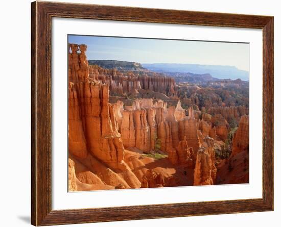 USA, Utah, Bryce Canyon-Rainer Hackenberg-Framed Photographic Print