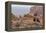 USA, Utah, Canyonlands National Park. Pair of Ravens on Log-Cathy & Gordon Illg-Framed Premier Image Canvas