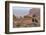 USA, Utah, Canyonlands National Park. Pair of Ravens on Log-Cathy & Gordon Illg-Framed Photographic Print