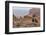 USA, Utah, Canyonlands National Park. Pair of Ravens on Log-Cathy & Gordon Illg-Framed Photographic Print