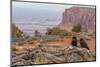 USA, Utah, Canyonlands National Park. Pair of Ravens on Log-Cathy & Gordon Illg-Mounted Photographic Print