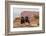 USA, Utah, Canyonlands National Park. Pair of Ravens on Log-Cathy & Gordon Illg-Framed Photographic Print