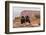 USA, Utah, Canyonlands National Park. Pair of Ravens on Log-Cathy & Gordon Illg-Framed Photographic Print