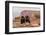 USA, Utah, Canyonlands National Park. Pair of Ravens on Log-Cathy & Gordon Illg-Framed Photographic Print