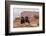 USA, Utah, Canyonlands National Park. Pair of Ravens on Log-Cathy & Gordon Illg-Framed Photographic Print