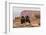 USA, Utah, Canyonlands National Park. Pair of Ravens on Log-Cathy & Gordon Illg-Framed Photographic Print