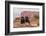 USA, Utah, Canyonlands National Park. Pair of Ravens on Log-Cathy & Gordon Illg-Framed Photographic Print