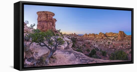 Usa, Utah, Canyonlands National Park, the Needles District, Big Spring Canyon Overlook-Alan Copson-Framed Premier Image Canvas