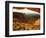 USA, Utah, Canyonlands, sunrise-George Theodore-Framed Photographic Print