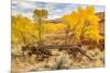 USA, Utah, Capitol Reef National Park. Old wagon and mountain and trees in autumn.-Jaynes Gallery-Mounted Premium Photographic Print