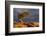 USA, Utah, Dead Horse Point State Park. Sunrise on Juniper Tree-Cathy & Gordon Illg-Framed Photographic Print