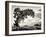USA, Utah, Dead Horse State Park, Juniper Tree-Mark Sykes-Framed Photographic Print