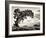 USA, Utah, Dead Horse State Park, Juniper Tree-Mark Sykes-Framed Photographic Print