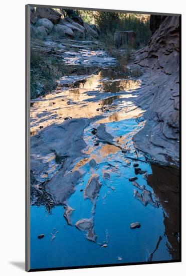 USA, Utah. Desert sandstone reflections, Hunter Canyon.-Judith Zimmerman-Mounted Photographic Print