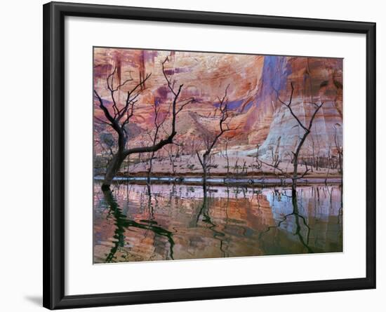 USA, Utah, Glen Canyon Nra. Drought Reveals Dead Trees-Jaynes Gallery-Framed Photographic Print