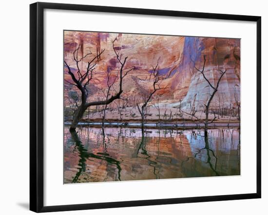 USA, Utah, Glen Canyon Nra. Drought Reveals Dead Trees-Jaynes Gallery-Framed Photographic Print