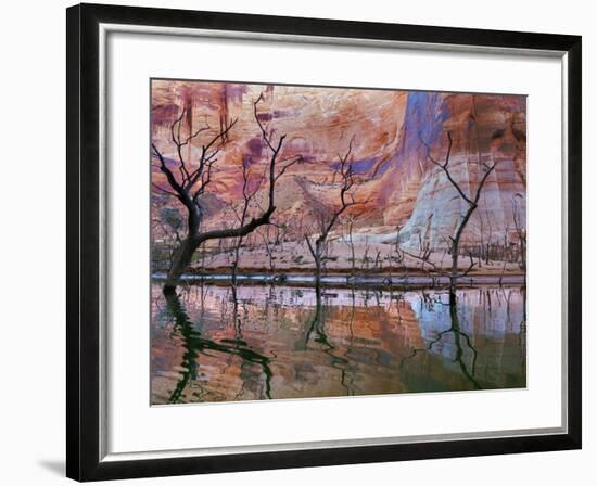 USA, Utah, Glen Canyon Nra. Drought Reveals Dead Trees-Jaynes Gallery-Framed Photographic Print