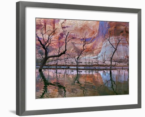 USA, Utah, Glen Canyon Nra. Drought Reveals Dead Trees-Jaynes Gallery-Framed Photographic Print