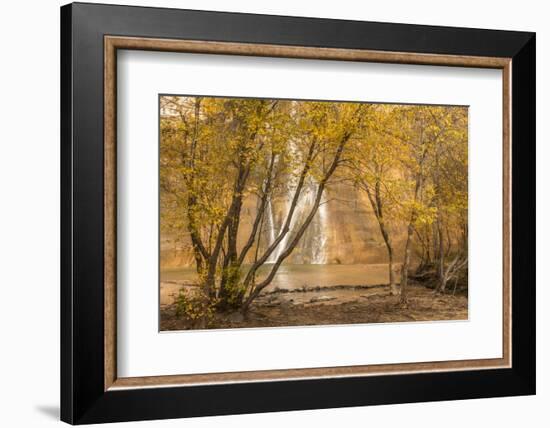 USA, Utah, Grand Staircase-Escalante National Monument. Lower Calf Creek Falls and trees.-Jaynes Gallery-Framed Photographic Print