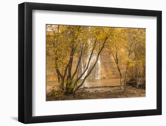 USA, Utah, Grand Staircase-Escalante National Monument. Lower Calf Creek Falls and trees.-Jaynes Gallery-Framed Photographic Print