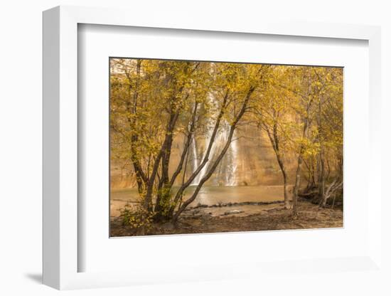 USA, Utah, Grand Staircase-Escalante National Monument. Lower Calf Creek Falls and trees.-Jaynes Gallery-Framed Photographic Print