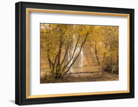 USA, Utah, Grand Staircase-Escalante National Monument. Lower Calf Creek Falls and trees.-Jaynes Gallery-Framed Photographic Print